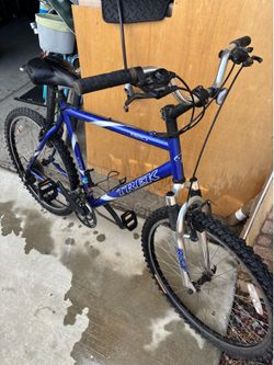 Trek mountain bike