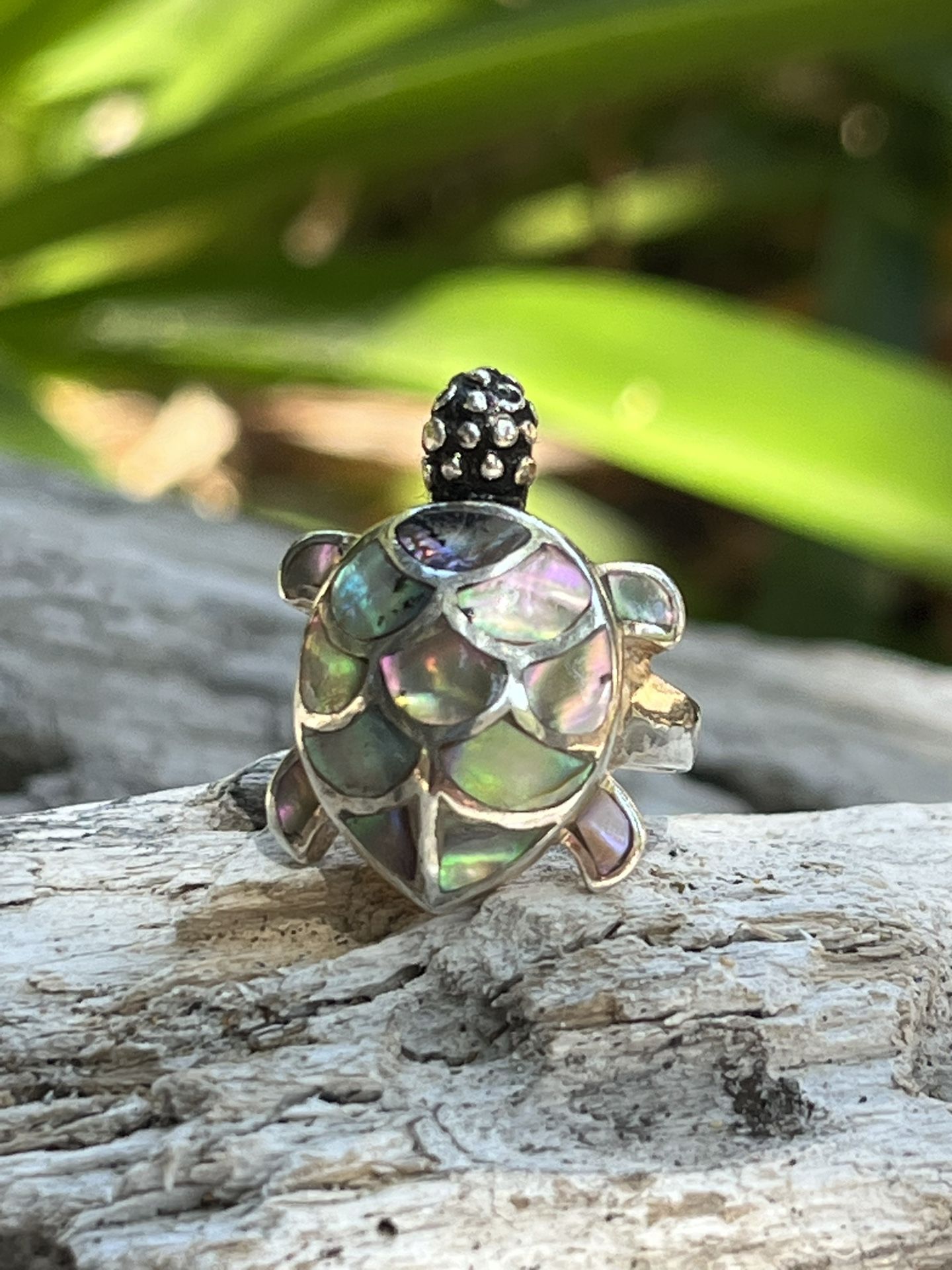Size 7 Sterling Silver Abalone Turtle Ring