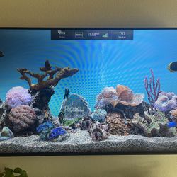 65” Vizio Smart TV