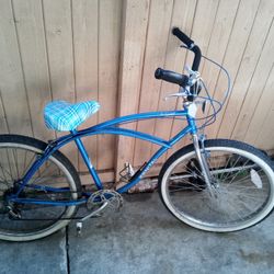 Ventage Beach Cruiser, Old School