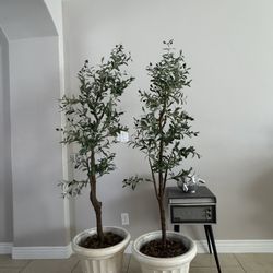 6ft Faux Olive Trees