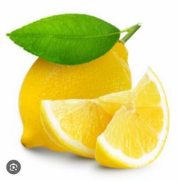 Lisbon Seedless Lemon 🍋 Tree