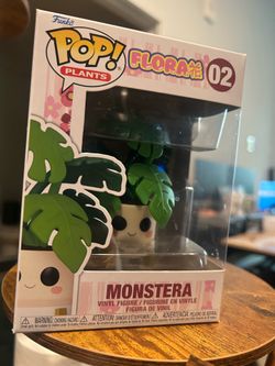 Pop Plants Monstera