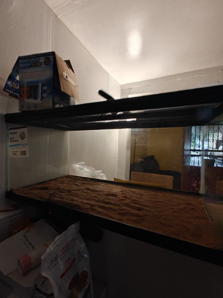 Aquarium Tank