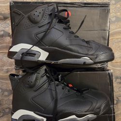  Air Jordan 6 Retro Black Cat Size 10