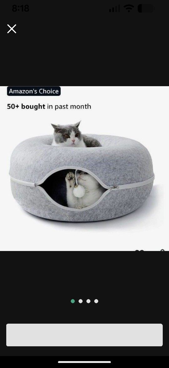 Cat Tunnel Toy