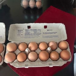 Farm Fresh Eggs from my Girls