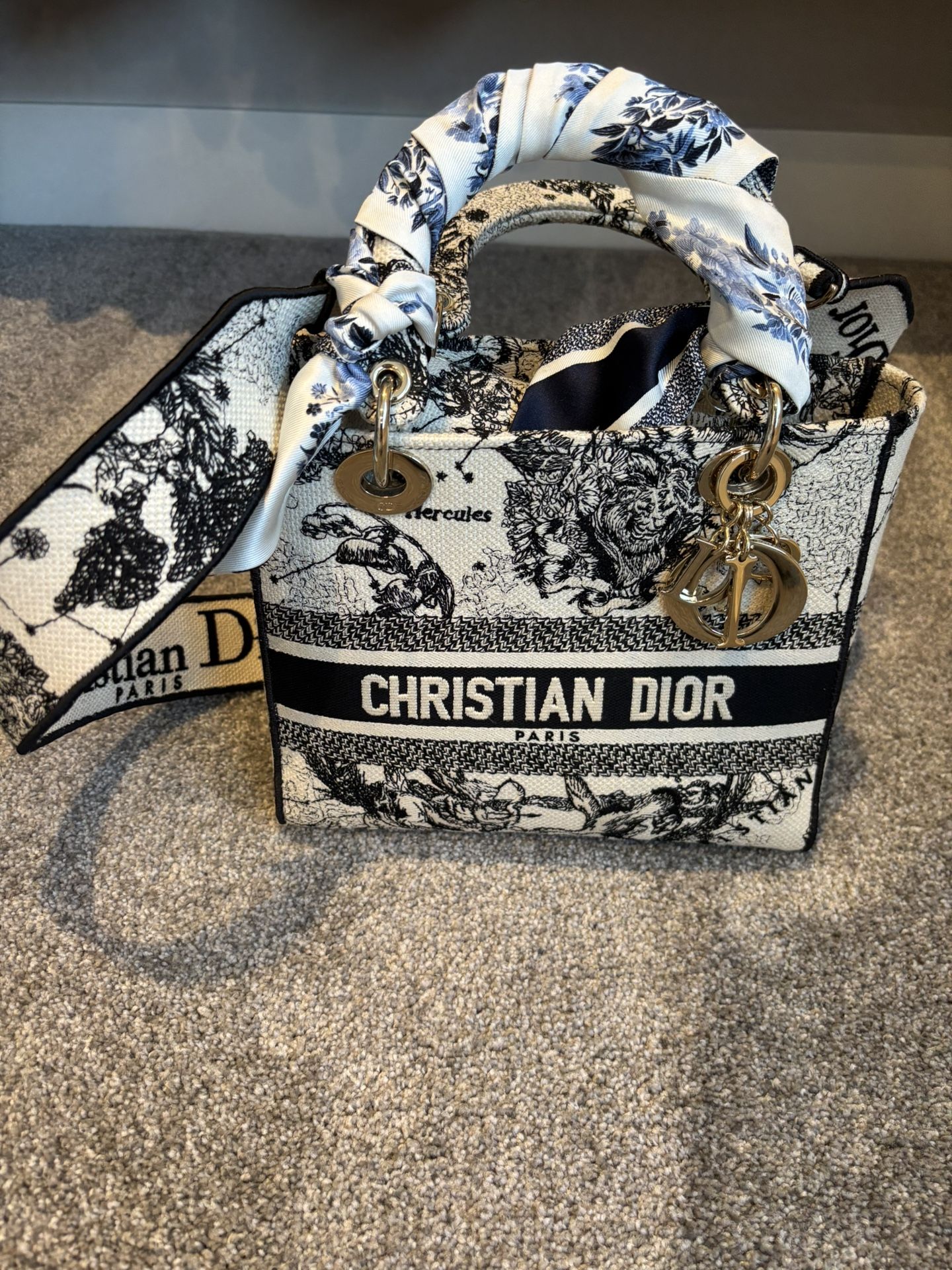 Christian Dior Medium Lady D-Lite