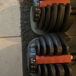 Interchangeable Dumbbells