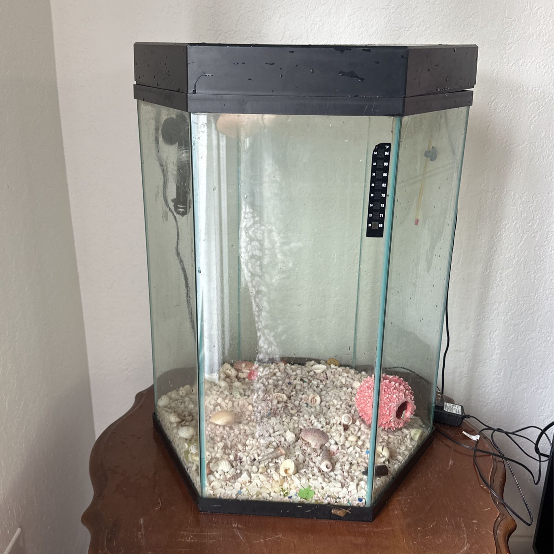 20 Gallon Hexagon Fish Tank