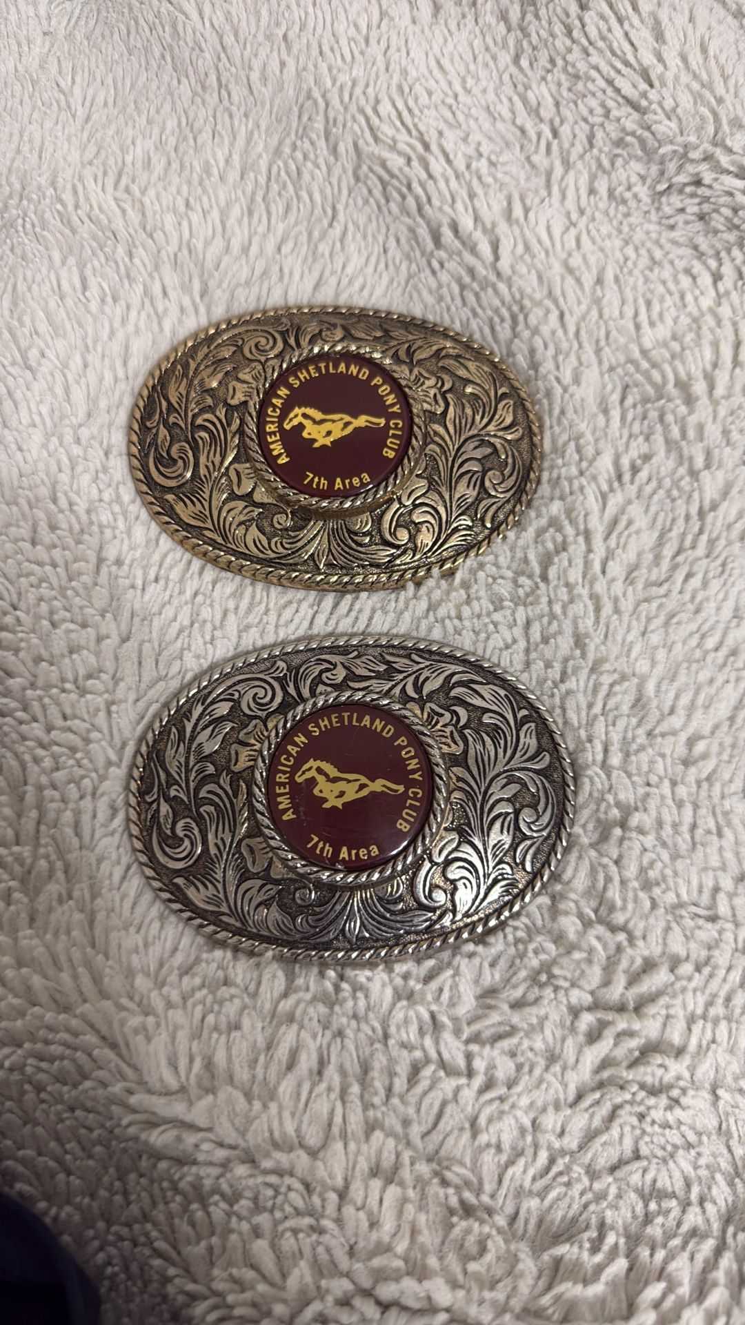 Vintage American Shetland Pony Club 7th Area Express Riders For Courage Metal Belt Buckle