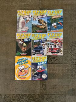 Fly Guy book series