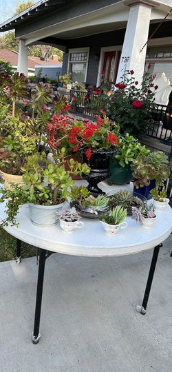 Mothers Say Plant Sale 