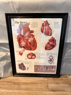 Heart picture