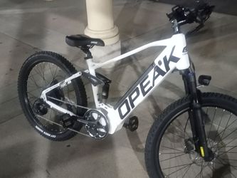 Electric bike