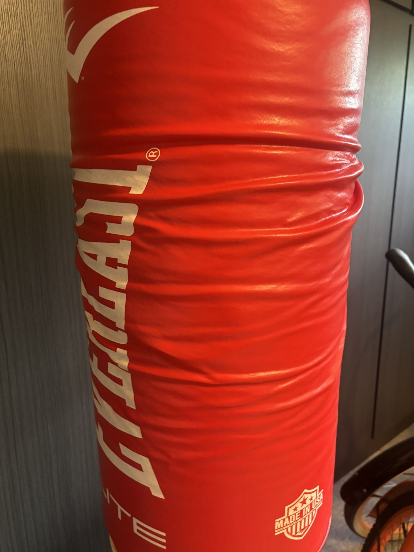 Everlast Punching Bag