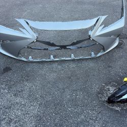 Bumper/light