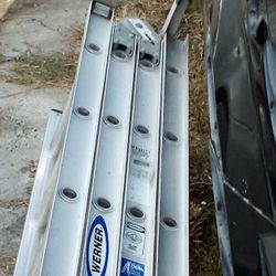 Folding Ladder 