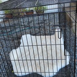 Large Dog Crate