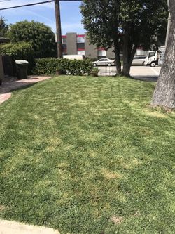 Yard Maintenance for residential and commercial