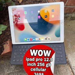 ipad pro 12.9 inch 256 gb cellular version with any sim card 