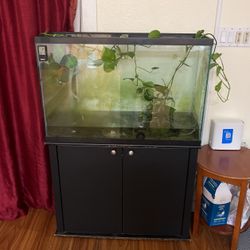Aquarium tank With Stand - Free