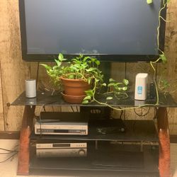 45” Panasonic TV With Stand