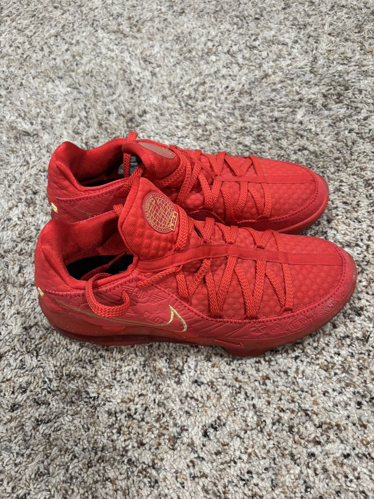 Nike LeBron Basketball Shoes