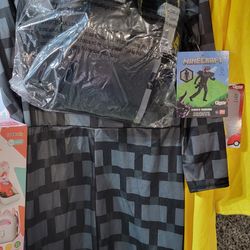 Costume Minecraft
