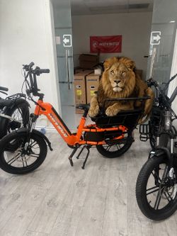 Brand new in box for 1000 Ebike for pet and kids