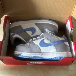 Nike Dunks Toddler