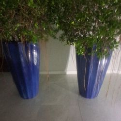 2 NEW, FIRE GLAZED TERRA COTTA "MAGESTIC FOUNTAIN" PLANTERS WITH PLANTS SET UP WITH ROCKS, SOIL AND PLASTIC POTS, THESE ARE THE BOMB PLANTERS  SET UP!