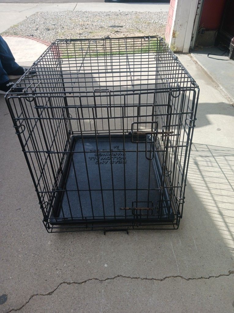 Dog 🦮... Cage 