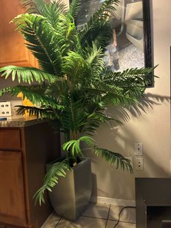 Artificial palm tree I have 2