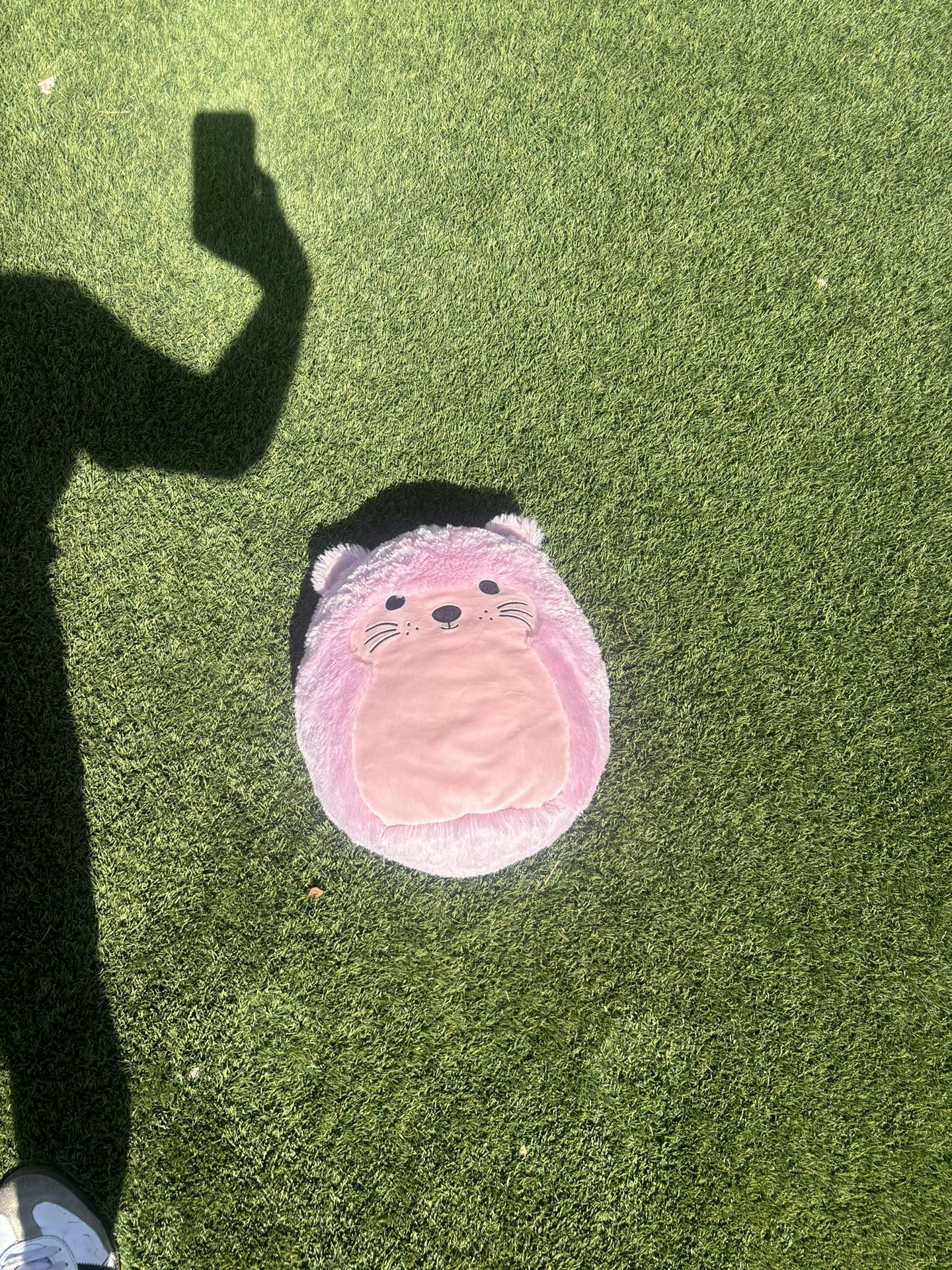 Stuffed Animal