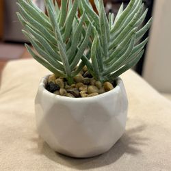 Faux Succulent With Vase