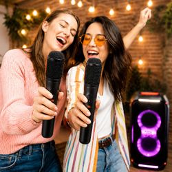 Wireless Microphone Set