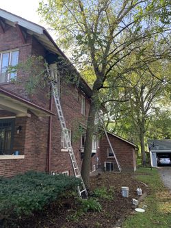 Professional painting