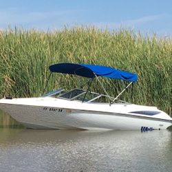 1996 Wellcraft 19SX