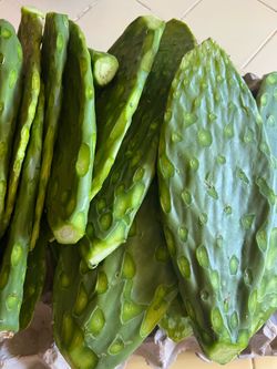 Venta de nopales ahora 05/30/26