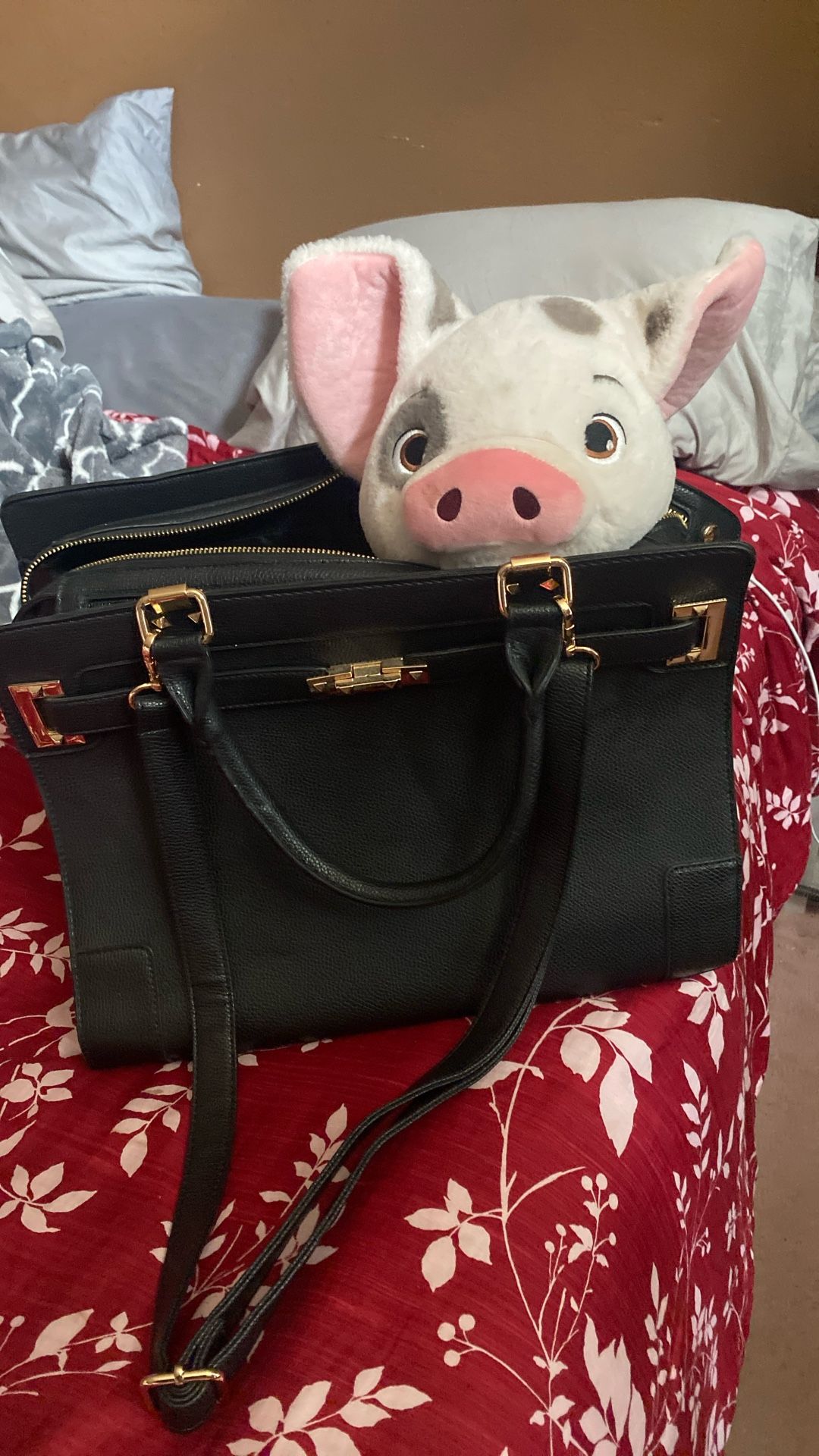 Dog Carrier