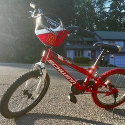 🚲 Schwinn Koen 18” Kids Bike – Custom Look + Kickstand + Training Wheels!