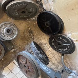 Weight plates olympic