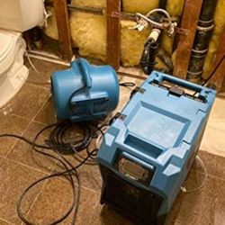 Flood Dry Out Moisture Reader