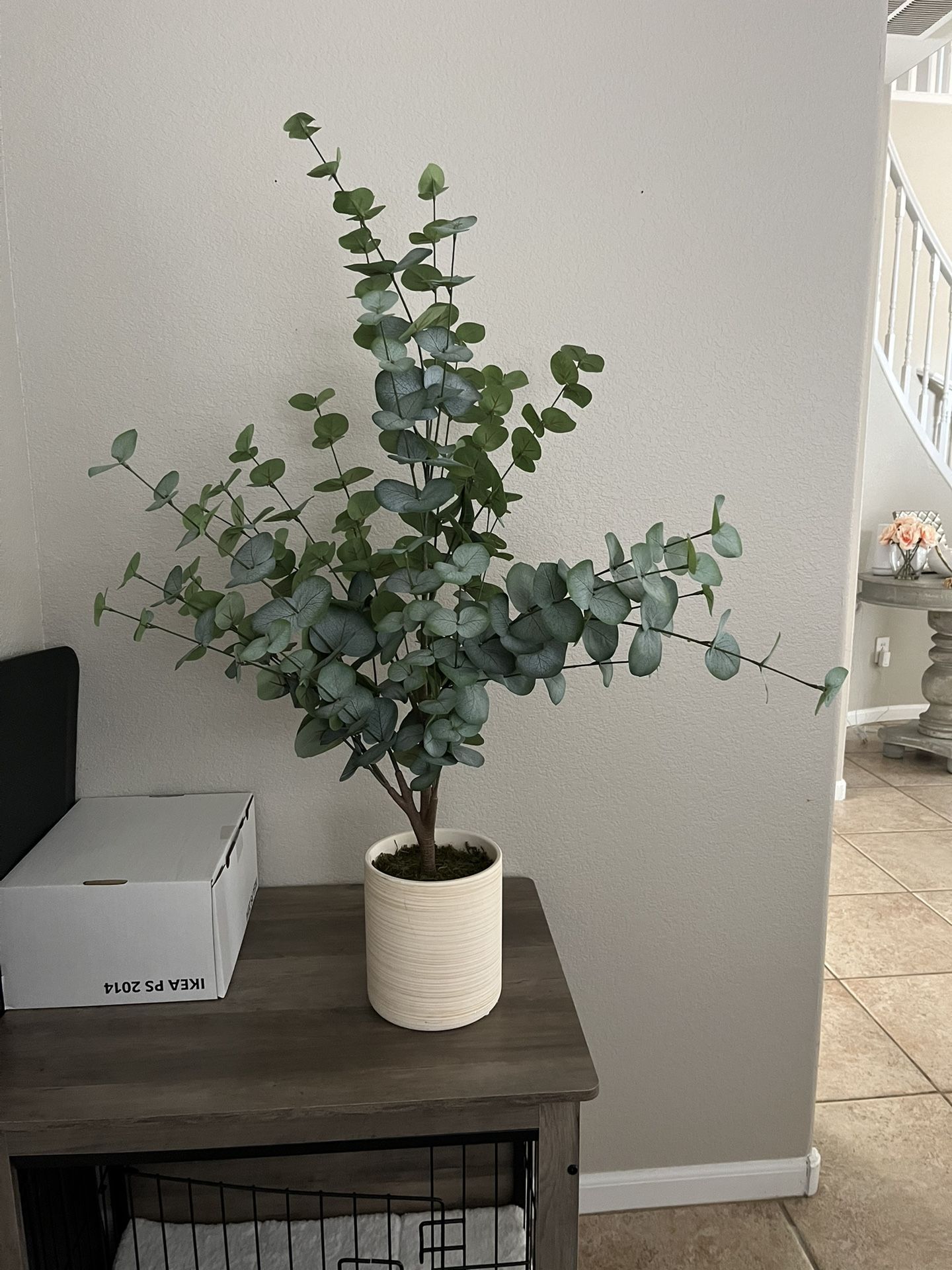 Fake Eucalyptus Plant