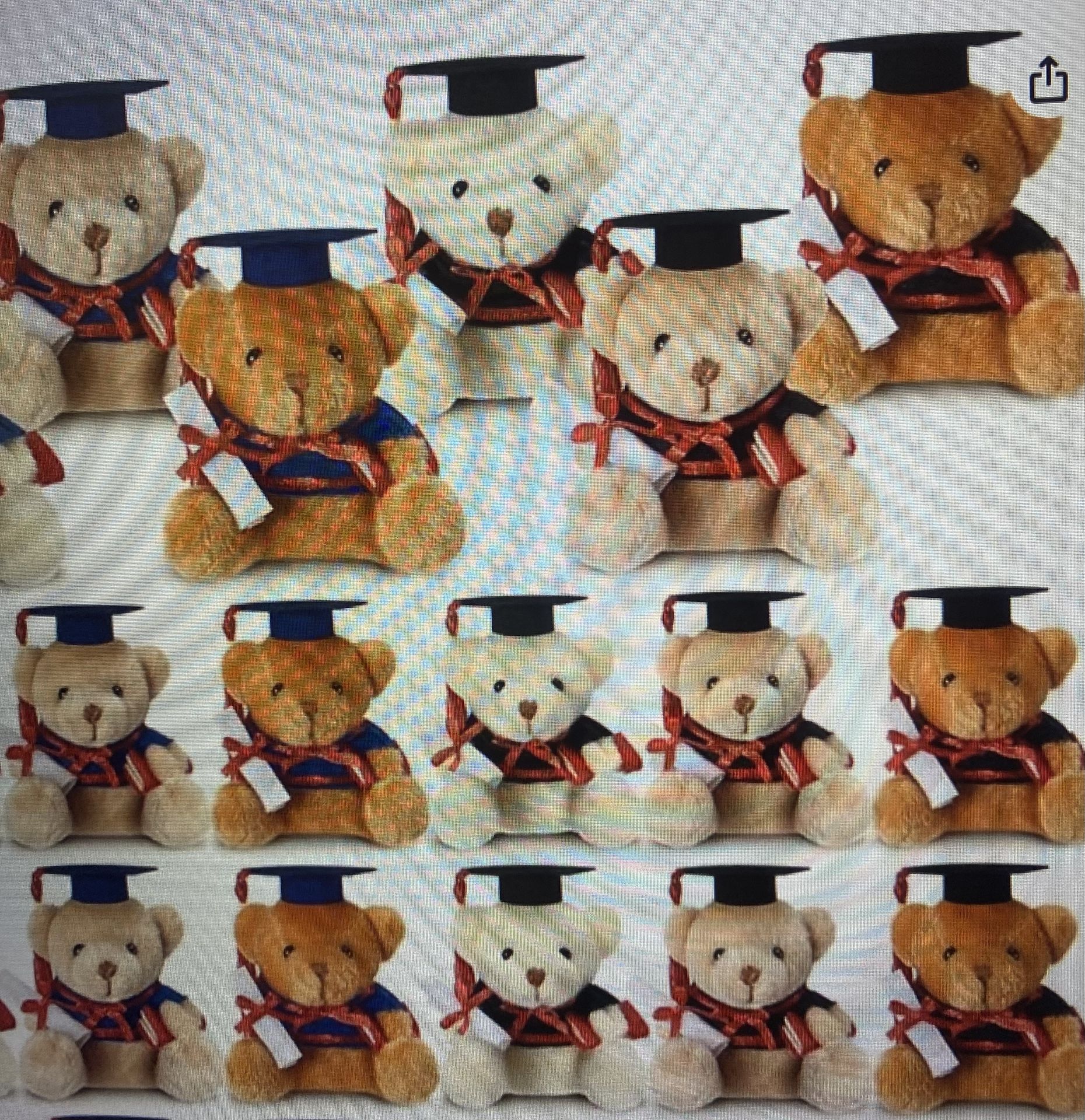 Graduation - Plush Teddy Bear Keychain