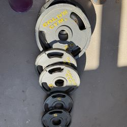Golds Gym Weight Plate Set