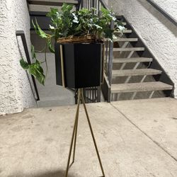 Plant Holder and Fake Plant $25 