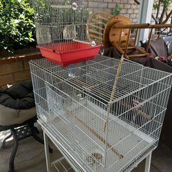 Bird Cages