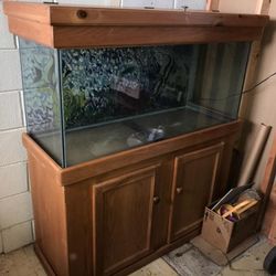80 gallon fish tank with stand and top.